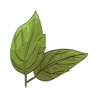 Çift yaprak, yan yana veya aynı noktadan büyüyen bir yaprak çiftidir..