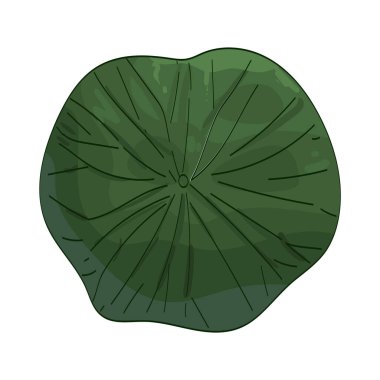 Yuvarlak bir yaprak düz bir daire ya da oval bir yaprak gibidir..