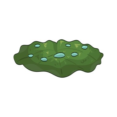  Nilüfer yaprağı, su yüzeyinde yüzen büyük, yuvarlak bir yapraktır..