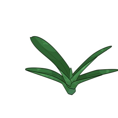 Orkide yaprağı, orkide bitkilerinde bulunan kalın ve parlak bir yapraktır..