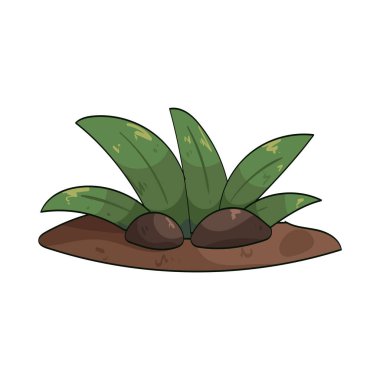 Kısa otlar, genellikle çimenlerde görülebilen, düşük bir yüksekliğe sahip düzgünce budanmış otlardır..