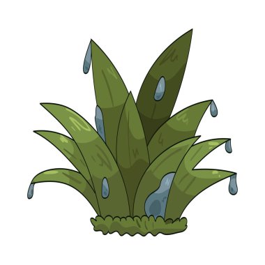 Islak çimenler çiğ, yağmur ya da nemle kaplıdır..