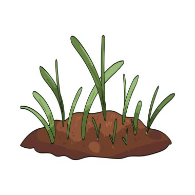 Nadir çimenler, çıplak toprak parçalarıyla ince dağılmış çimenlerdir..