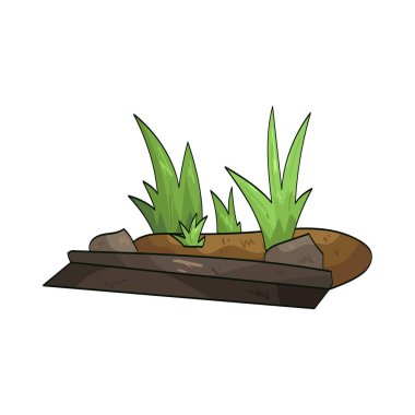 Yol kenarındaki çimenler yol kenarlarında yetişiyor..