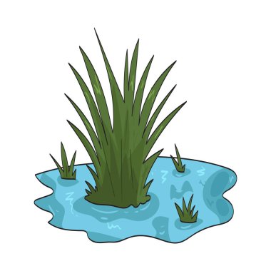  Sulak arazi otları, nemli, su zengini bölgelerde yetişmeye adapte olmuş çimlerdir..