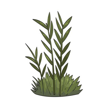 Bambu otları, bambu yapraklarına benzeyen ince yapraklı çimenlerdir..