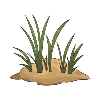 Kum çimleri kum tepecikleri üzerinde yetişen ve kumu dengeleyen dayanıklı otlardır..