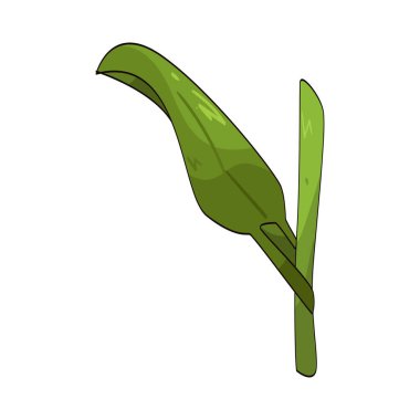 Çimen yaprağı ince ve uzun bir yapraktır. Çimen yaprağının bir parçasını oluşturur..