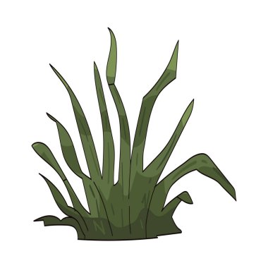 Çimen, doğal veya manzaralı alanlarda birbirine yakın büyüyen ince yeşil bıçaklardan oluşan bir kolleksiyondur..