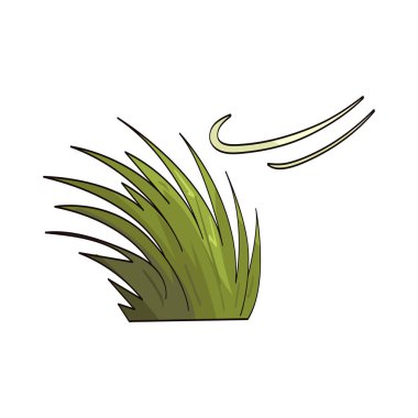 Rüzgâr otları sert rüzgâr nedeniyle çimen büküyor ya da sallanıyor..