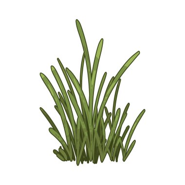 Çimen, kümeler halinde büyüyen ve toprağı tarlalar, çimenler ve doğal manzaralarla kaplayan ince, yeşil bir bitkidir..