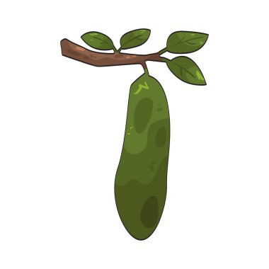 Ağaç kabuğu, bazı ağaç türleri tarafından üretilen tohumları içeren koruyucu bir kabuktur..