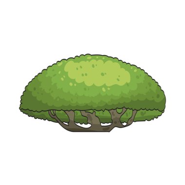 Ağaç örtüsü, ağaç dalları ve yaprakları tarafından oluşturulan üst katmandır..