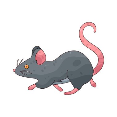  Fare genellikle perili, karanlık ya da terk edilmiş yerlere bağlı küçük bir kemirgendir..