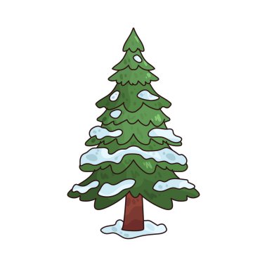 Çam ağacı, kış mevsimi boyunca yeşil kalan yemyeşil bir ağaçtır..