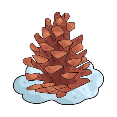 Çam kozalağı, çam ağaçlarının genellikle kış manzarasında görülen tohum taşıyıcı yapısıdır..