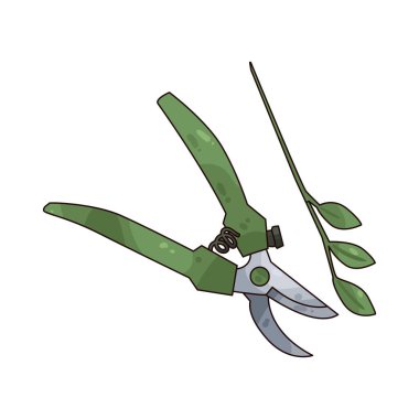 Budama makası bitki ve dalları budamak için kullanılan araçlardır..