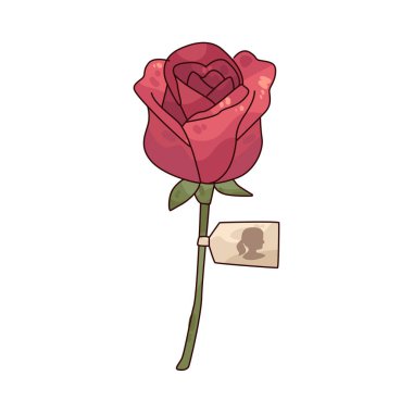 Annem için bir gül derin aşkı, saygıyı ve minnettarlığı simgeler..