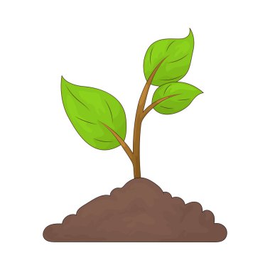 Bitki toprakta büyüyen ve oksijen üretiminde hayati bir rol oynayan canlı bir organizmadır..