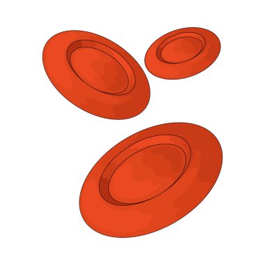 Kan hücreleri oksijen taşıyan, enfeksiyonla savaşan ve pıhtılaşmaya yardımcı olan kan bileşenleridir..