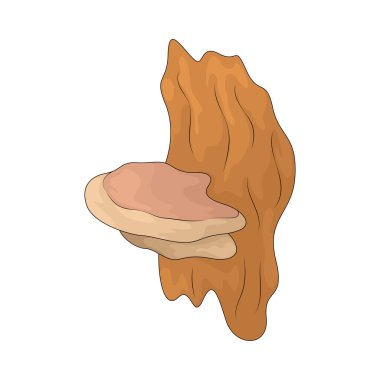 Mantarlar, küfler, mayalar ve mantarlar içeren, çürümede kilit roller oynayan bir organizma grubudur..