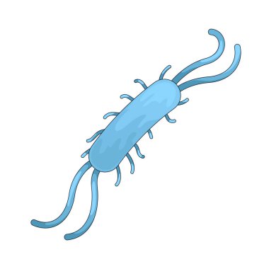 Bakteriler, tek hücreli mikroskobik organizmalardır..