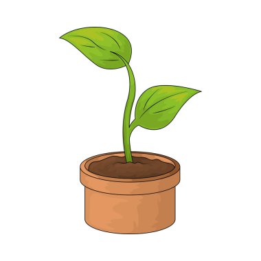 Bitki saksısı, bitki yetiştirmek ve sergilenmek için kullanılan bir konteynır..