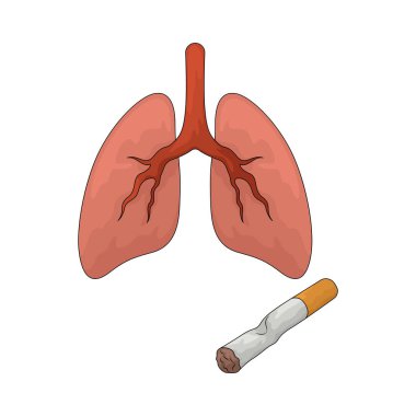 Sigaralı akciğerler, sigara içmenin solunum sistemine zararlı etkilerini gösteriyor..