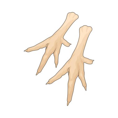 Tavuk ayağı, genellikle jelatin zengini dokuları için çorbalarda ya da güveçte kullanılan bir tavuğun alt kısmıdır..