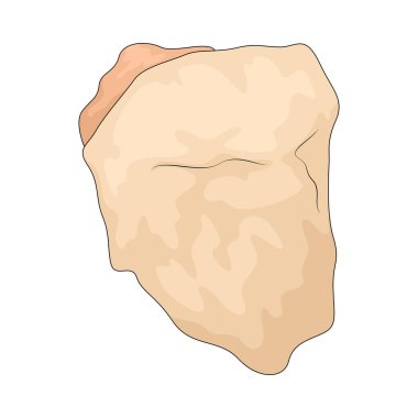 Tavuk budu, tavuk bacağının üst kısmıdır. Yumuşak dokusu ve lezzet katan biraz daha yüksek yağ içeriği nedeniyle değerlidir..