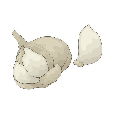 Sarımsak, genellikle pişirmede baharat olarak kullanılan keskin bir sebzedir..