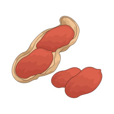 Fıstık, genellikle kızartılmış ya da tereyağı ile işlenmiş yenebilir tohumlarla dolu bir baklagildir..