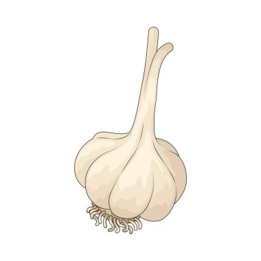 Sarımsak, tüm dünyada lezzetli yemeklere tat katmak için kullanılan keskin bir ampuldür..