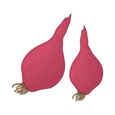 Arpacık soğan aromalı küçük bir sebzedir..