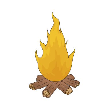 Şenlik ateşi, kamp ya da plaj toplantılarında sıklıkla görülen büyük bir açık hava yangınıdır..