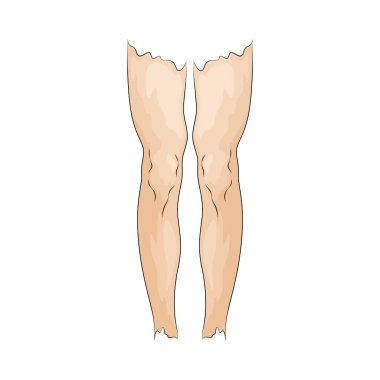 Bacak ön tarafı bacakların ön görünümünü ifade eder, genellikle antrenman sırasında çalışan kas gruplarını göstermek için kullanılır..