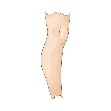 Bacak, vücut ağırlığını destekleyen, yürümeyi, koşmayı ve hareket etmeyi sağlayan bir alt uzuvdur..