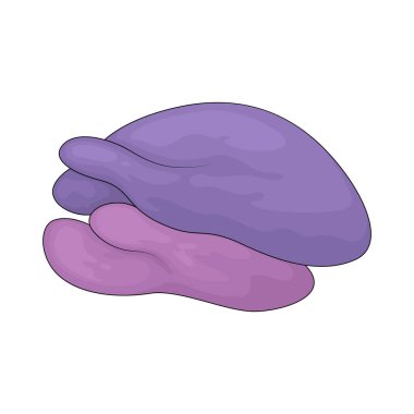 Ribozom hücre fonksiyonu için gerekli proteinleri sentezleyen hücresel bir yapıdır..