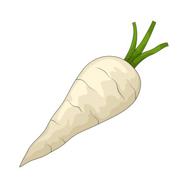 Yaban havucu, tatlı ve topraksı aromalı soluk bir bitki köküdür..