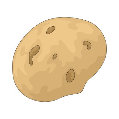 Patates çok çeşitli yemeklerde kullanılan nişastalı bir yumru..