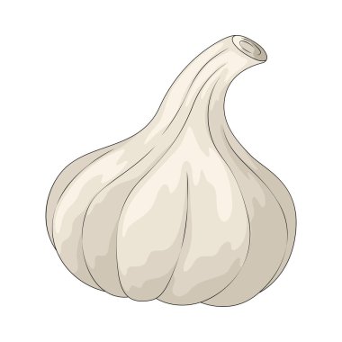 Sarımsak, yemekteki lezzeti arttırmak için kullanılan keskin bir ampuldür..