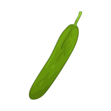 Salatalık, yüksek su içerikli ferahlatıcı, gevrek bir sebzedir..