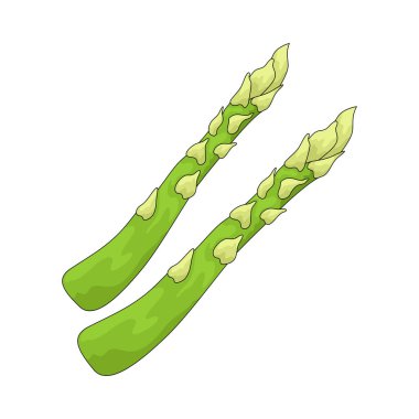 Kuşkonmaz yumuşak yeşil bir sap bitkisidir. Hafif, topraksı bir tadı vardır..