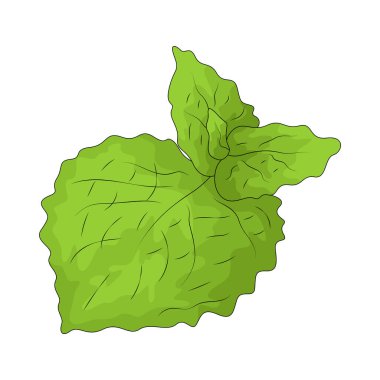 Limon merhemi hafif limon kokulu güzel kokulu bir bitkidir..