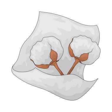 Pamuk, genellikle giysi ve tekstil ürünlerinde kullanılan yumuşak ve doğal bir liftir..