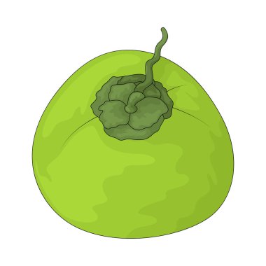 Hindistan cevizi sert kabuklu ve ferahlatıcı suyu olan tropikal bir meyvedir..