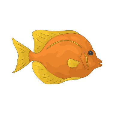 Balık, yüzgeçleri ve solungaçları olan suda yaşayan bir hayvandır..