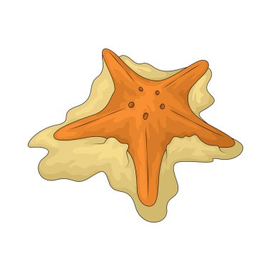 Denizyıldızı, okyanuslarda yıldız şeklinde bir bedene sahip bir deniz hayvanıdır..