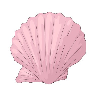 Deniz kabuğu, kıyıda bulunan deniz hayvanlarının sert dış kaplamasıdır..