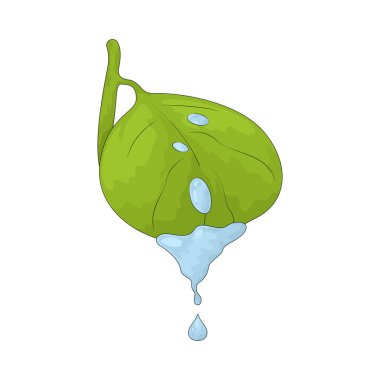 Temiz su damlası olan bir yaprak çevresel koruma ve temiz doğal kaynakları temsil eder..